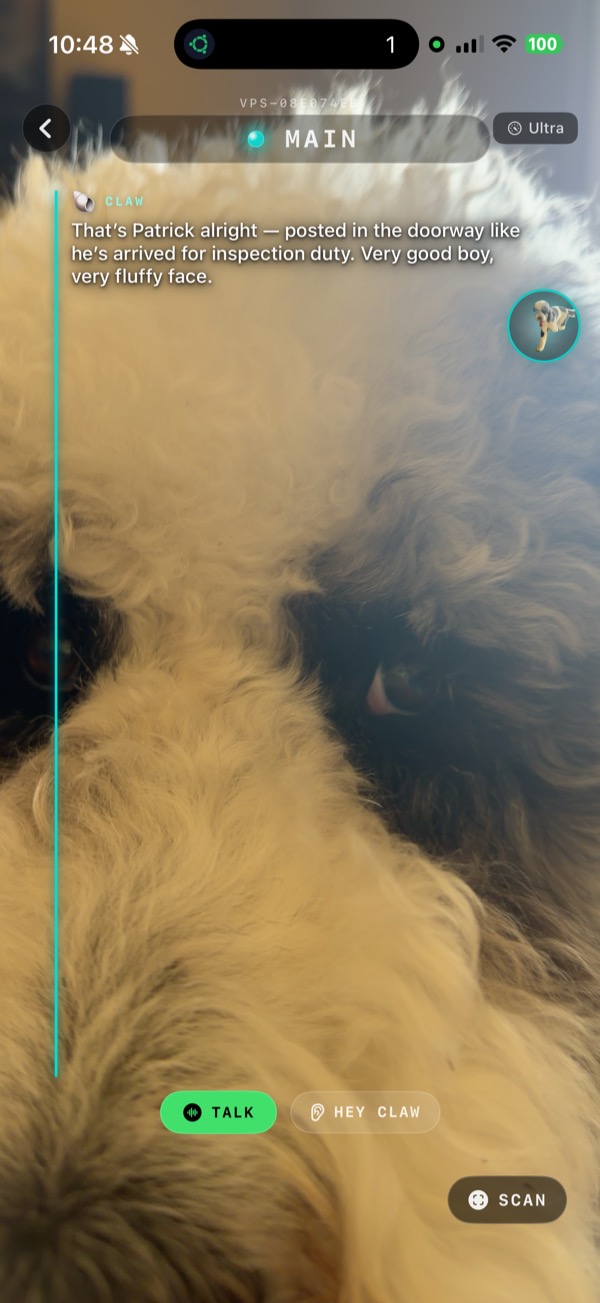 Vision — point your camera and talk