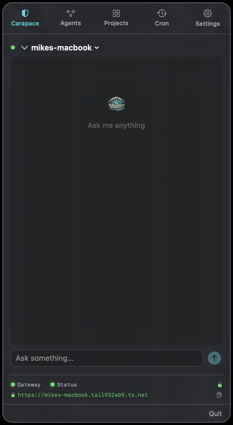 CARAPACE on Mac - Chat